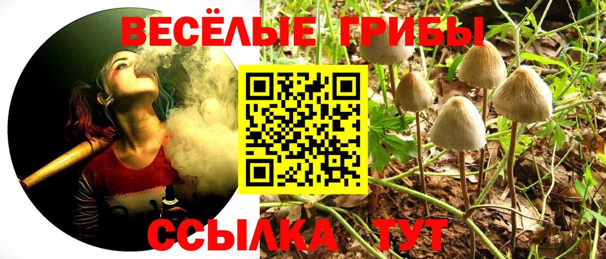 Псилоцибиновые грибы Cubensis  Вход с VPN  Славянск-на-Кубани 