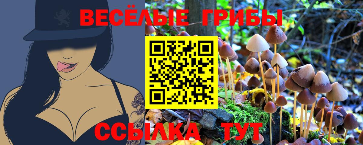 Галлюциногенные грибы Cubensis  Галлюциногенные грибы Magic Shrooms  Славянск-на-Кубани 