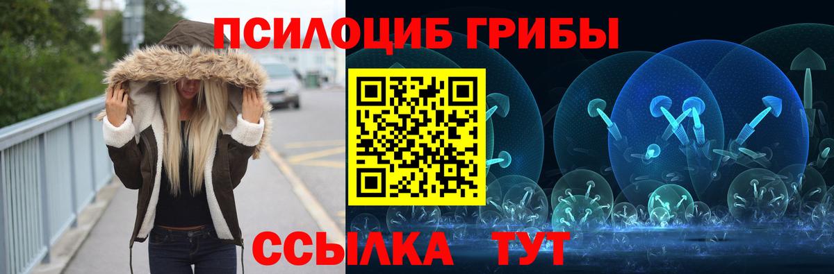Галлюциногенные грибы Psilocybe Славянск-на-Кубани